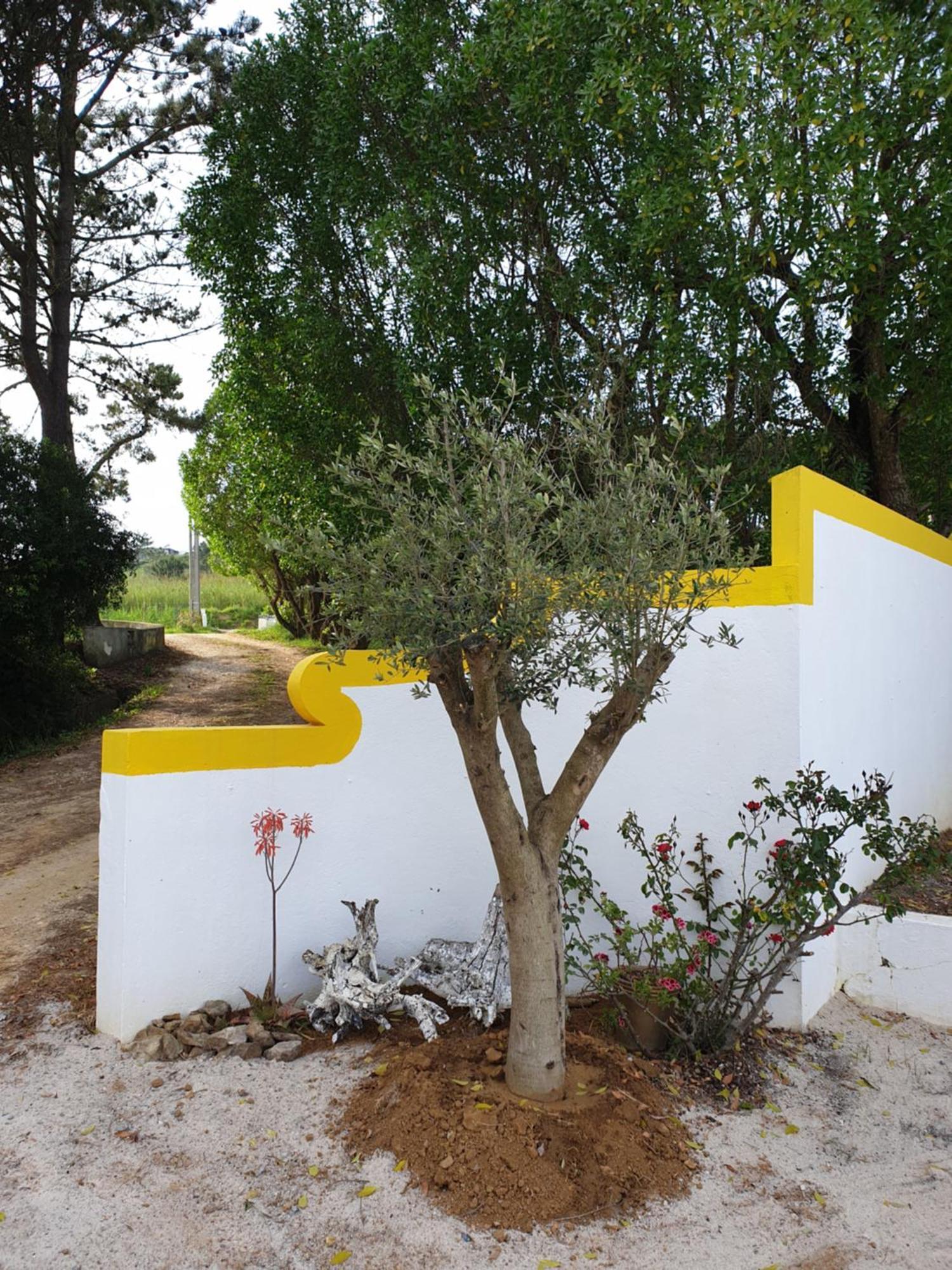 Sondela Self Catering Villa Sao Martinho do Porto Bagian luar foto
